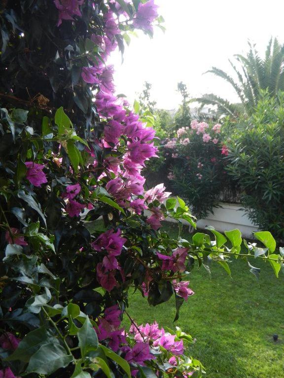 Villa Cassa Jessi