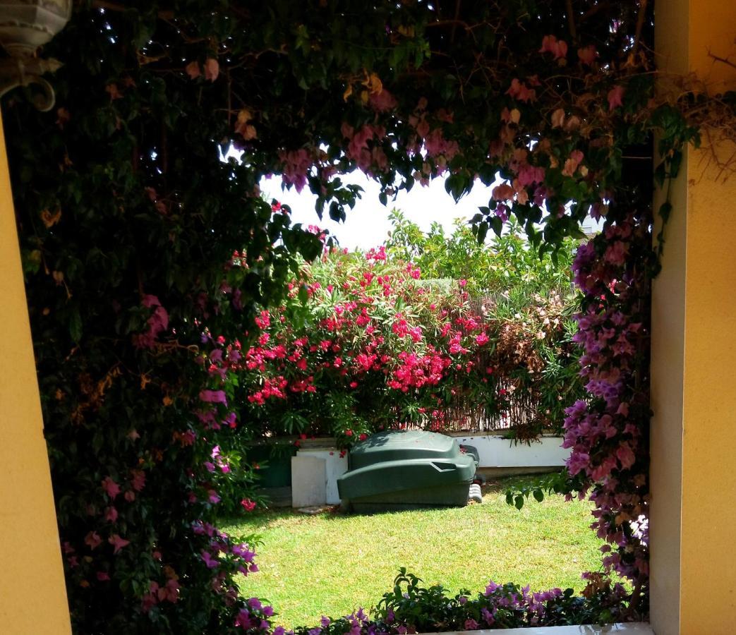 Cassa Jessi Villa Tarragona
